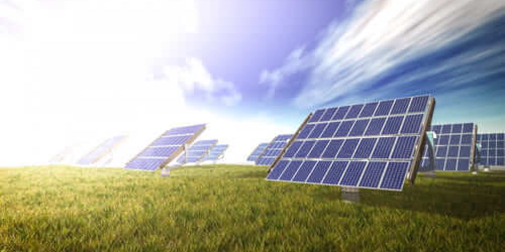 solar-panels-meadow (1)